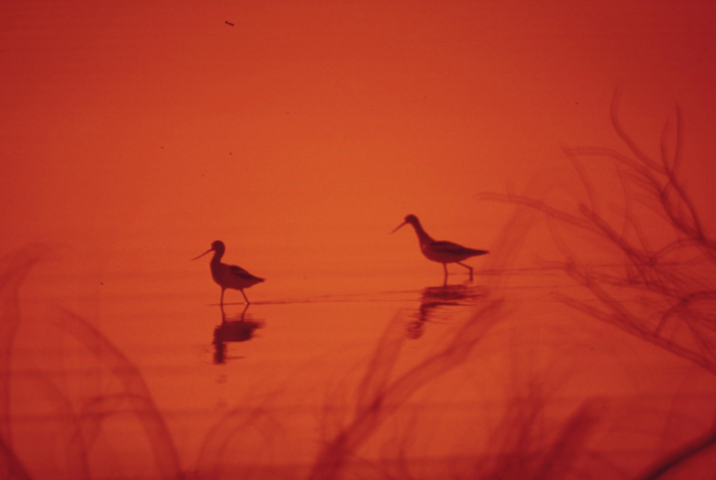 1. About Half-Life&nbsp;Journey